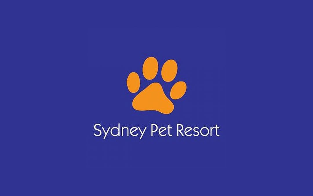 Customer Spotlight: Sydney Pet Resort