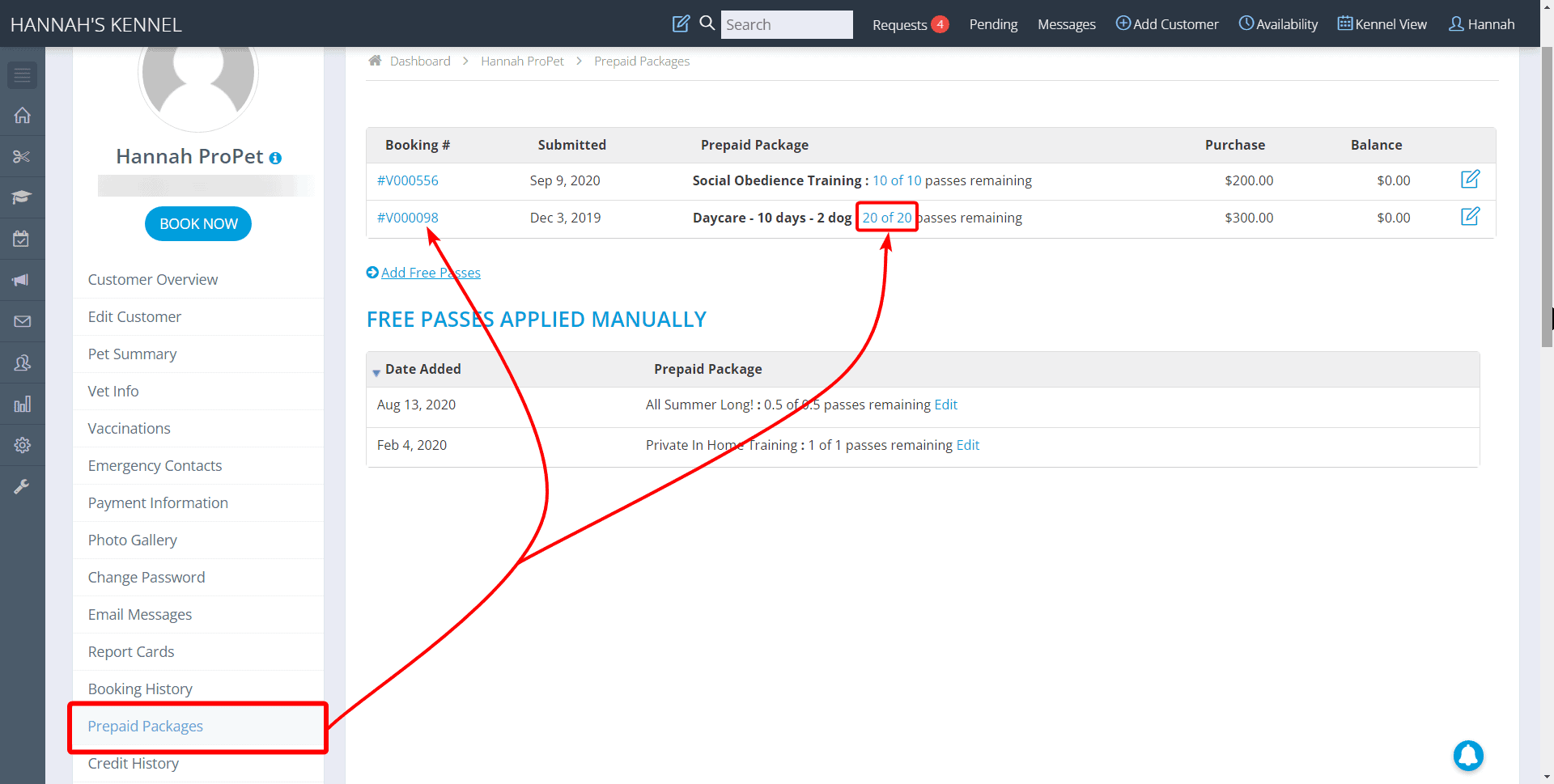 How do I adjust a PrePaid package on a customer’s profile 9